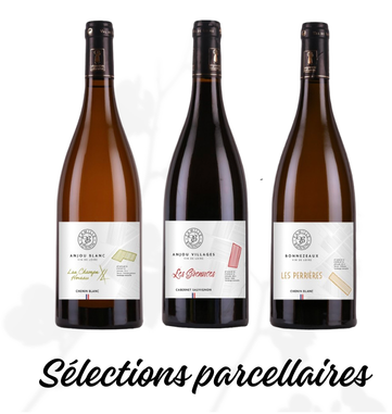 Fiche explicative – Collection Regards Changement d’étiquette Pourquoi une nouvelle étiquette pour la Collection Regards  Cette nouvelle étiquette permet d’exprimer plus clairement l’identité de n (1)