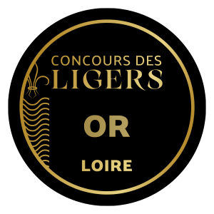 LIGER 2026-MEDAILLE-OR-NM-2311-300x300